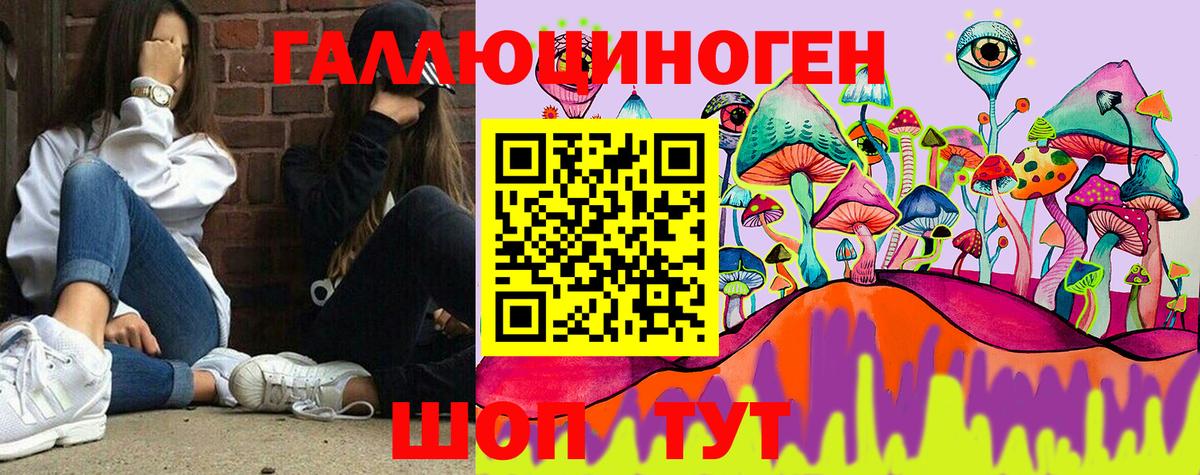 Выборг  Псилоцибиновые грибы MAGIC MUSHROOMS  Вход с VPN  Галлюциногенные грибы мицелий 